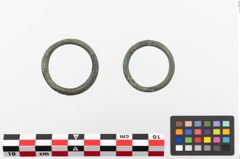 Foto von Bronzering (NHMW-PRAE-023871)